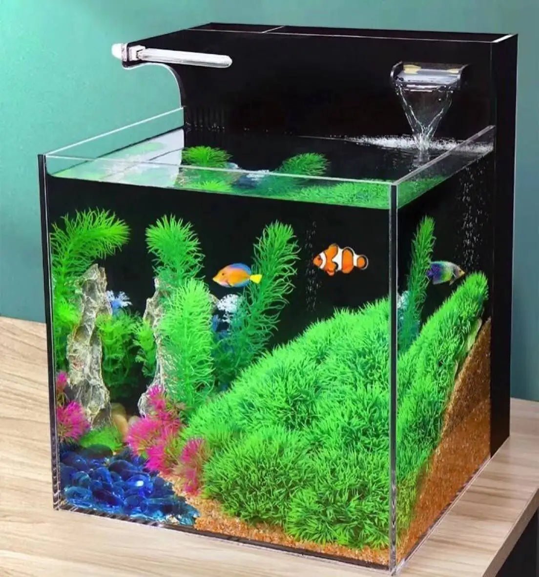 Acquario Pesci Creativo Ecologico Professionale Resistente Animali Domestici - PELOSAMICI