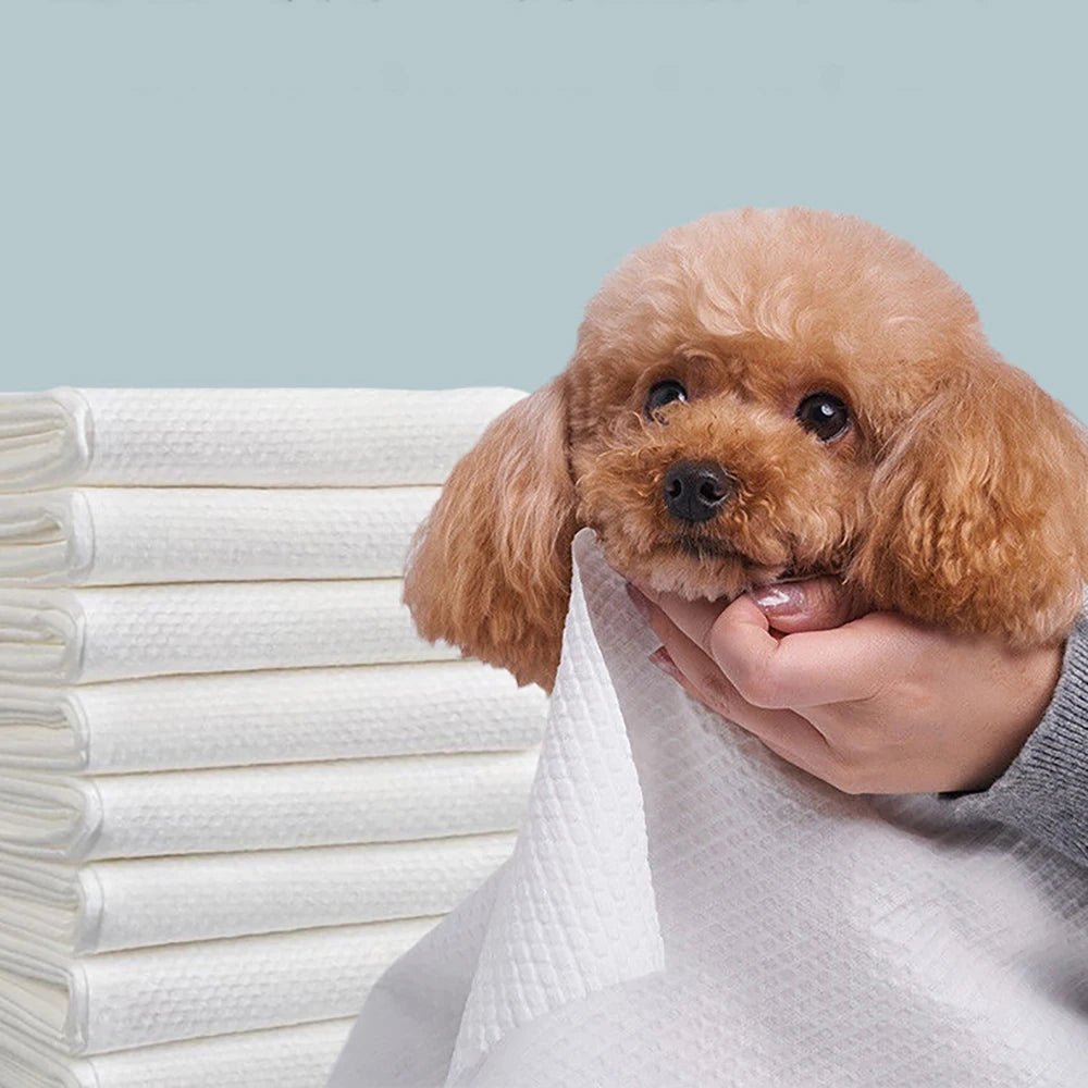 Asciugamano Cane Gatto Assorbente Pulizia Igiene Resistente Animali Domestici - PELOSAMICI