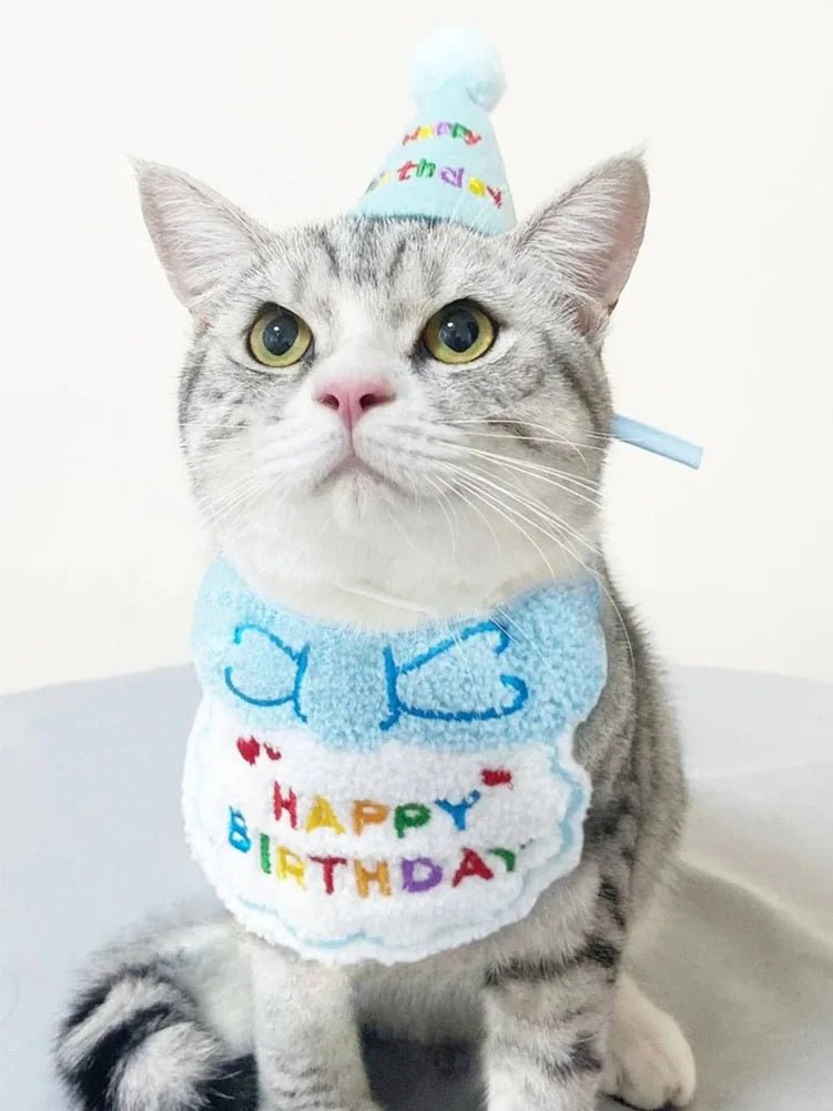 Bavaglino Compleanno Cani Gatti Cappello Festa Party Abbigliamento Accessori Animali Domestici - PELOSAMICI