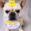 Bavaglino Compleanno Cani Gatti Cappello Festa Party Abbigliamento Accessori Animali Domestici - PELOSAMICI