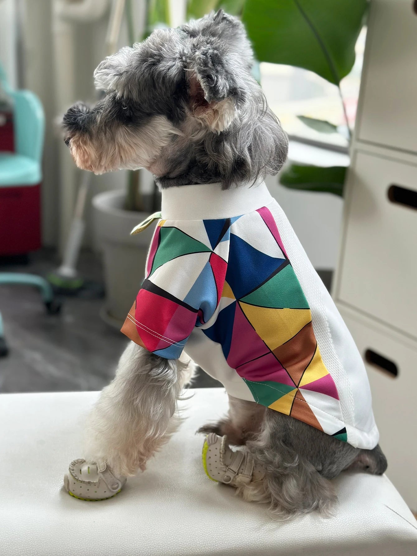 Camicia Cani Piccola Taglia Estiva Comoda Traspirante Multicolore Abbigliamento Animali Domestici - PELOSAMICI
