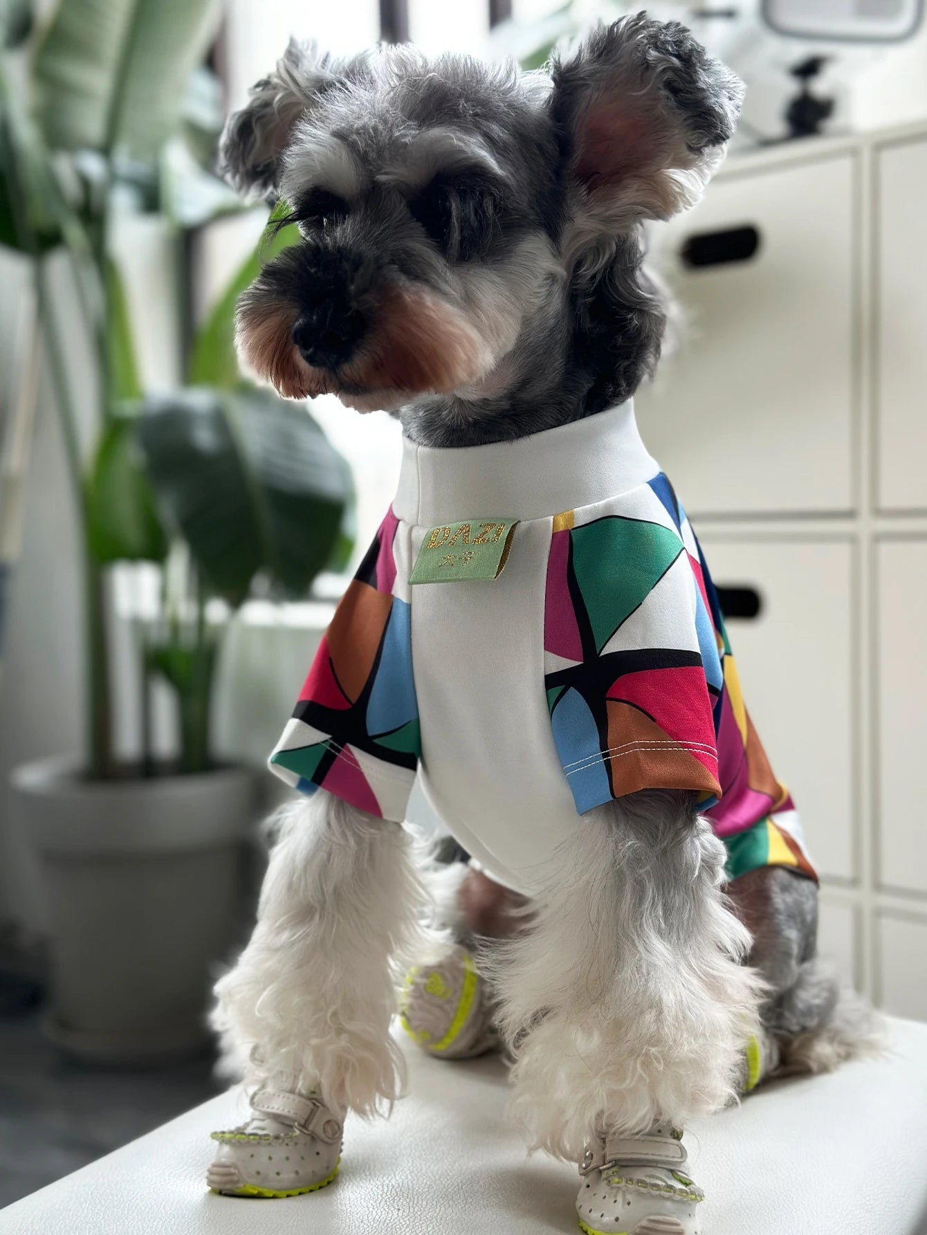 Camicia Cani Piccola Taglia Estiva Comoda Traspirante Multicolore Abbigliamento Animali Domestici - PELOSAMICI