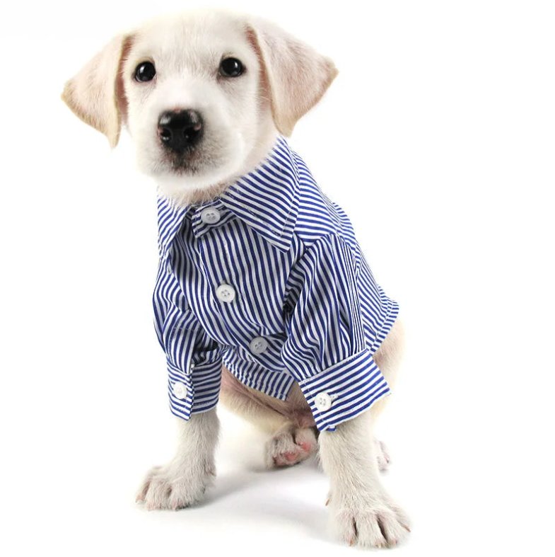 Camicia Cani Piccola Taglia Righe Colletto Bottoni Abbigliamento Animali Domestici - PELOSAMICI