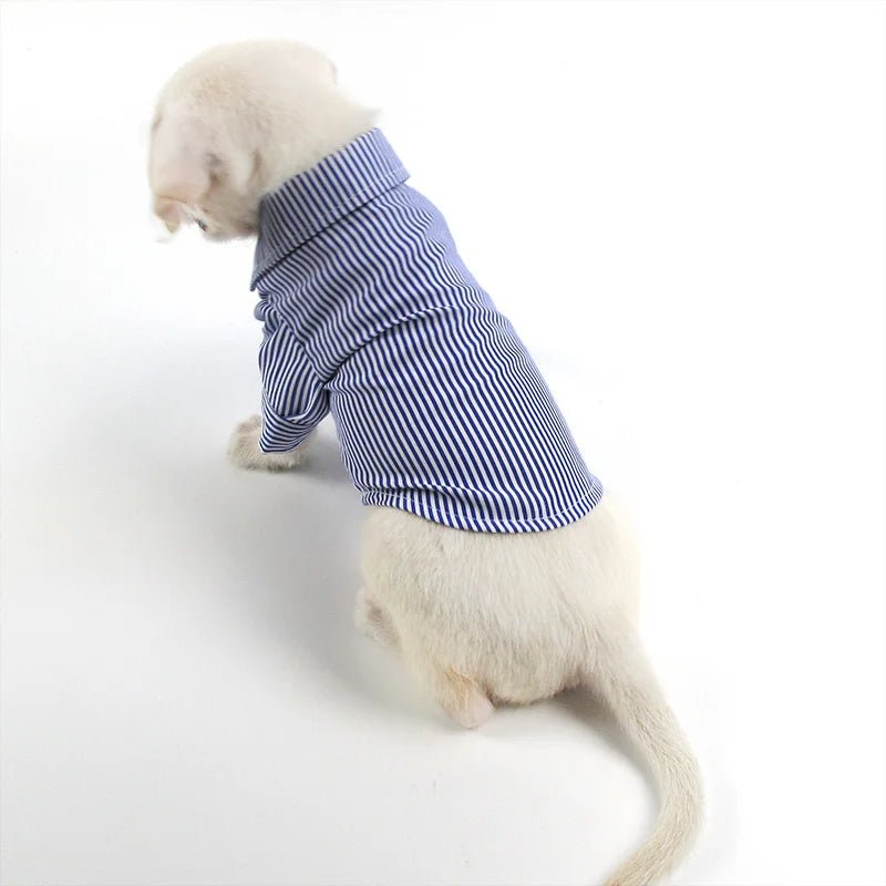 Camicia Cani Piccola Taglia Righe Colletto Bottoni Abbigliamento Animali Domestici - PELOSAMICI