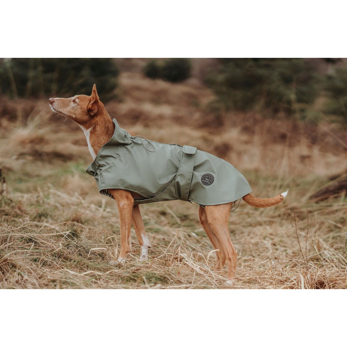 Cappotto per Cani Hunter Milford Verde 25 cm - PELOSAMICI