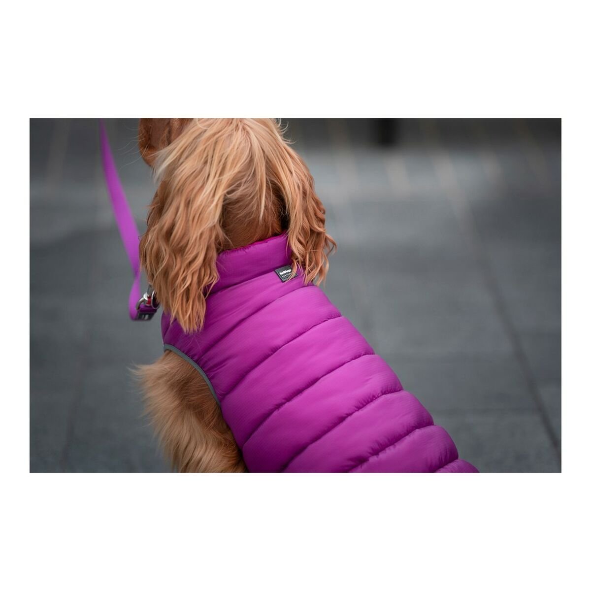 Cappotto per Cani Red Dingo Puffer 50 cm Rosa/Viola - PELOSAMICI