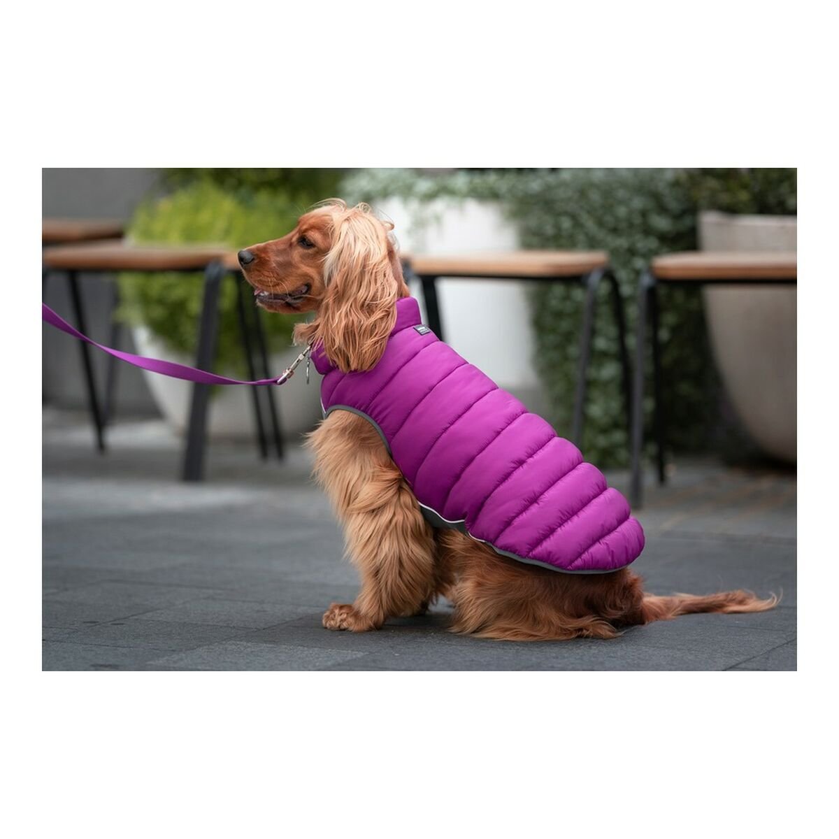 Cappotto per Cani Red Dingo Puffer 50 cm Rosa/Viola - PELOSAMICI