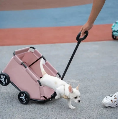 Carrello Cani Piccola Taglia Passeggino Trasportino Pieghevole 4 Ruote Passeggio Trasporto Animali Domestici - PELOSAMICI