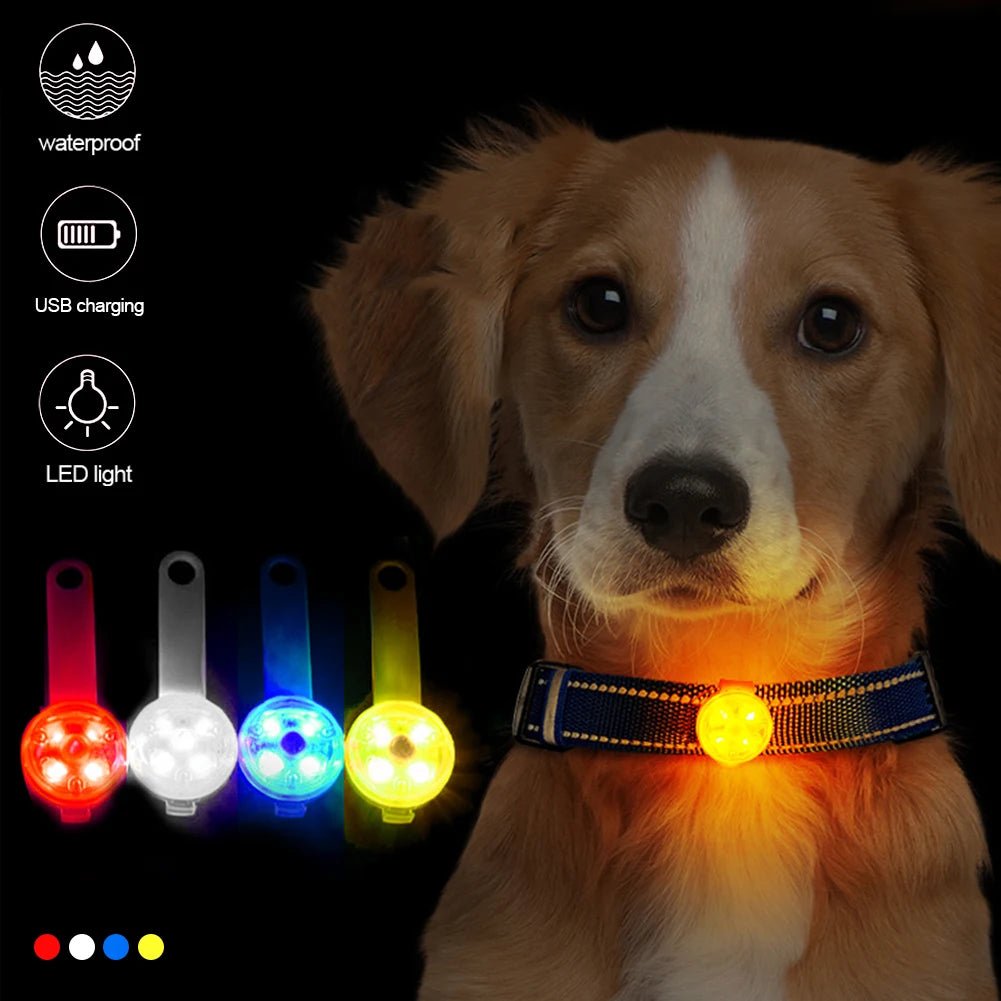 Ciondolo Collare Cane Luminoso Ricaricabile USB Impermeabile Lampeggiante Sicurezza Animali Domestici - PELOSAMICI