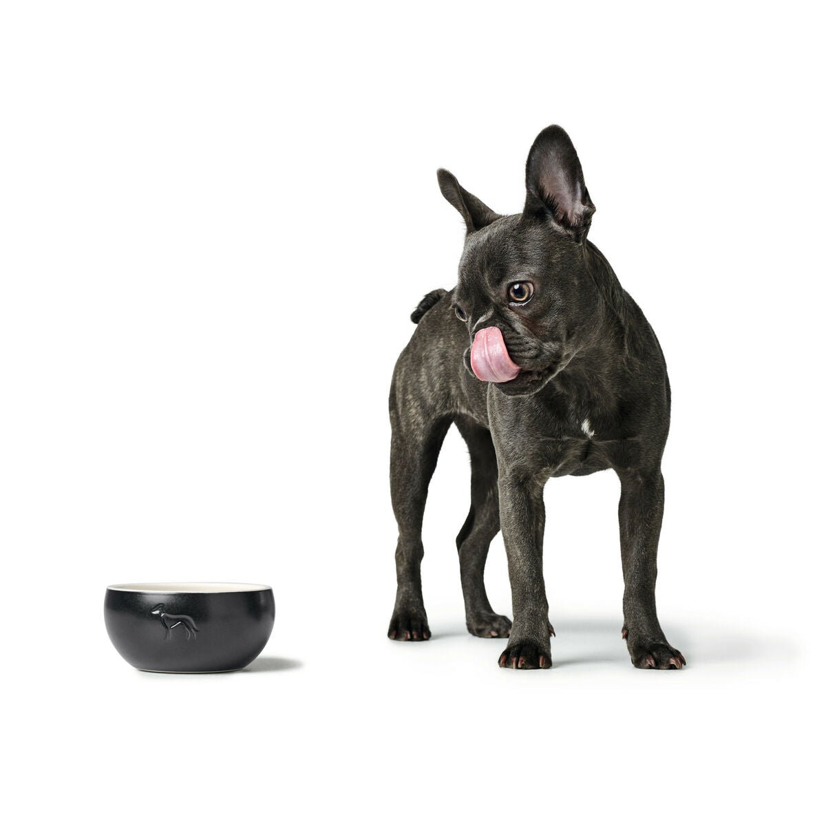 Ciotola per cani Hunter Nero Ceramica Silicone 310 ml Moderno - PELOSAMICI