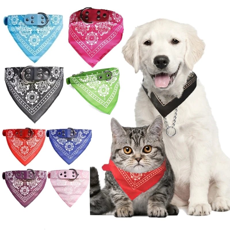 Collare Cane Gatto Bandana Comodo Resistente Animali Domestici - PELOSAMICI