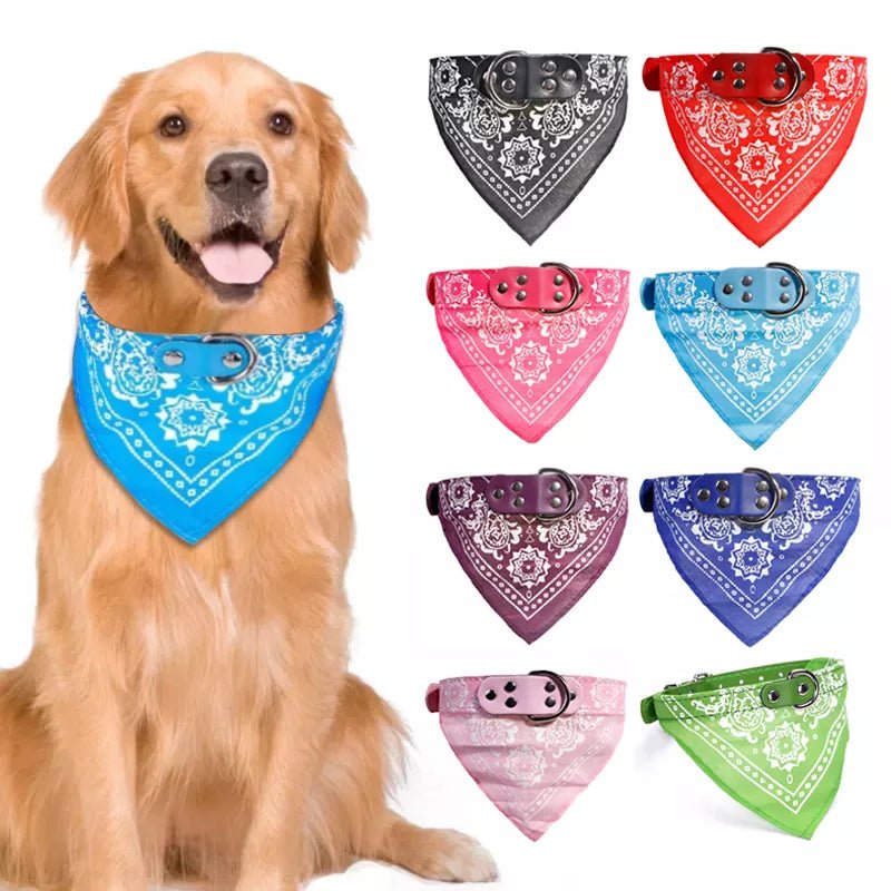 Collare Cane Gatto Bandana Comodo Resistente Animali Domestici - PELOSAMICI