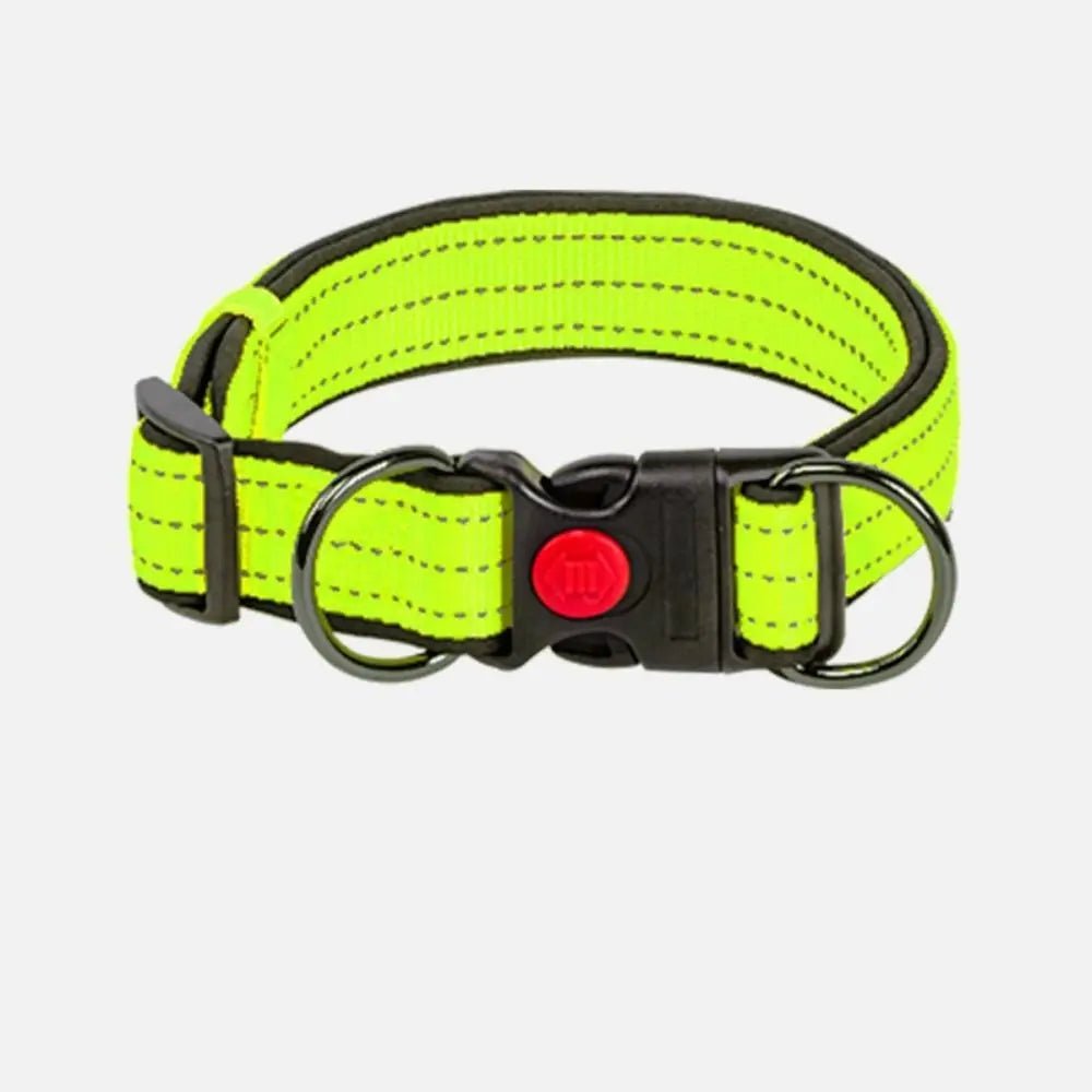 Collare Cani Imbottito Riflettente Nylon Sicurezza Doppio Anello Resistente Regolabile - PELOSAMICI