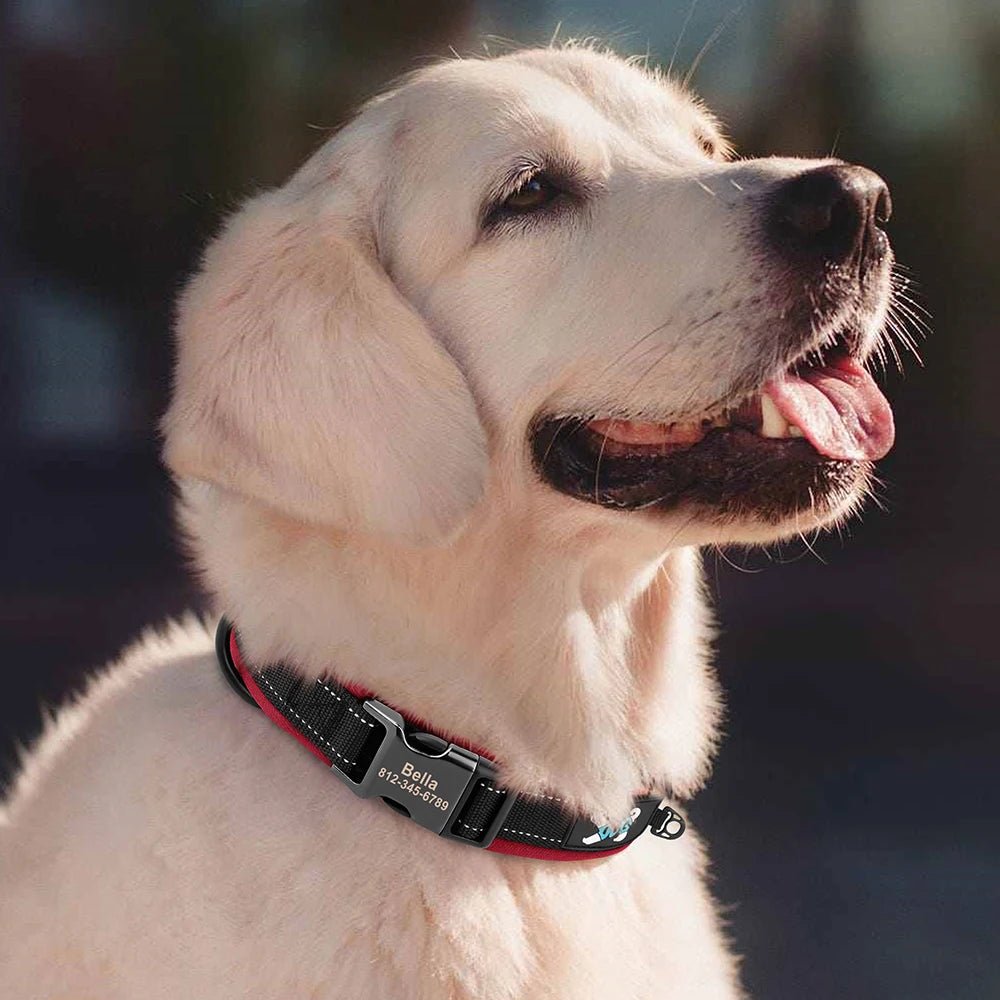 Collare Cani Regolabile Riflettente Colorato Sicurezza Animali Domestici - PELOSAMICI