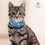Collare Gatti Campana Colorato Resistente Regolabile Accessori Animali Domestici - PELOSAMICI