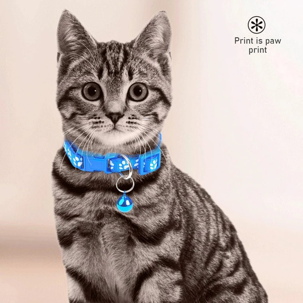 Collare Gatti Campana Colorato Resistente Regolabile Accessori Animali Domestici - PELOSAMICI