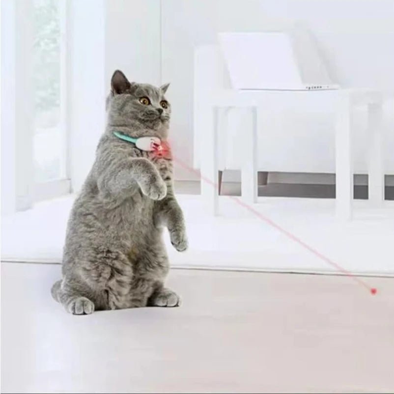 Collare Gatto Giocattolo Regolabile Resistente Comodo Animali Domestici - PELOSAMICI