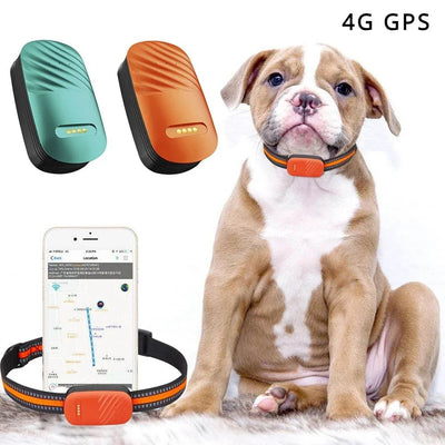 Collare GPS Cane Gatto Localizzatore Wi - Fi Cavo USB Animali Domestici - PELOSAMICI
