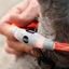 Collare LED per Animali Domestici Petlux InnovaGoods - PELOSAMICI