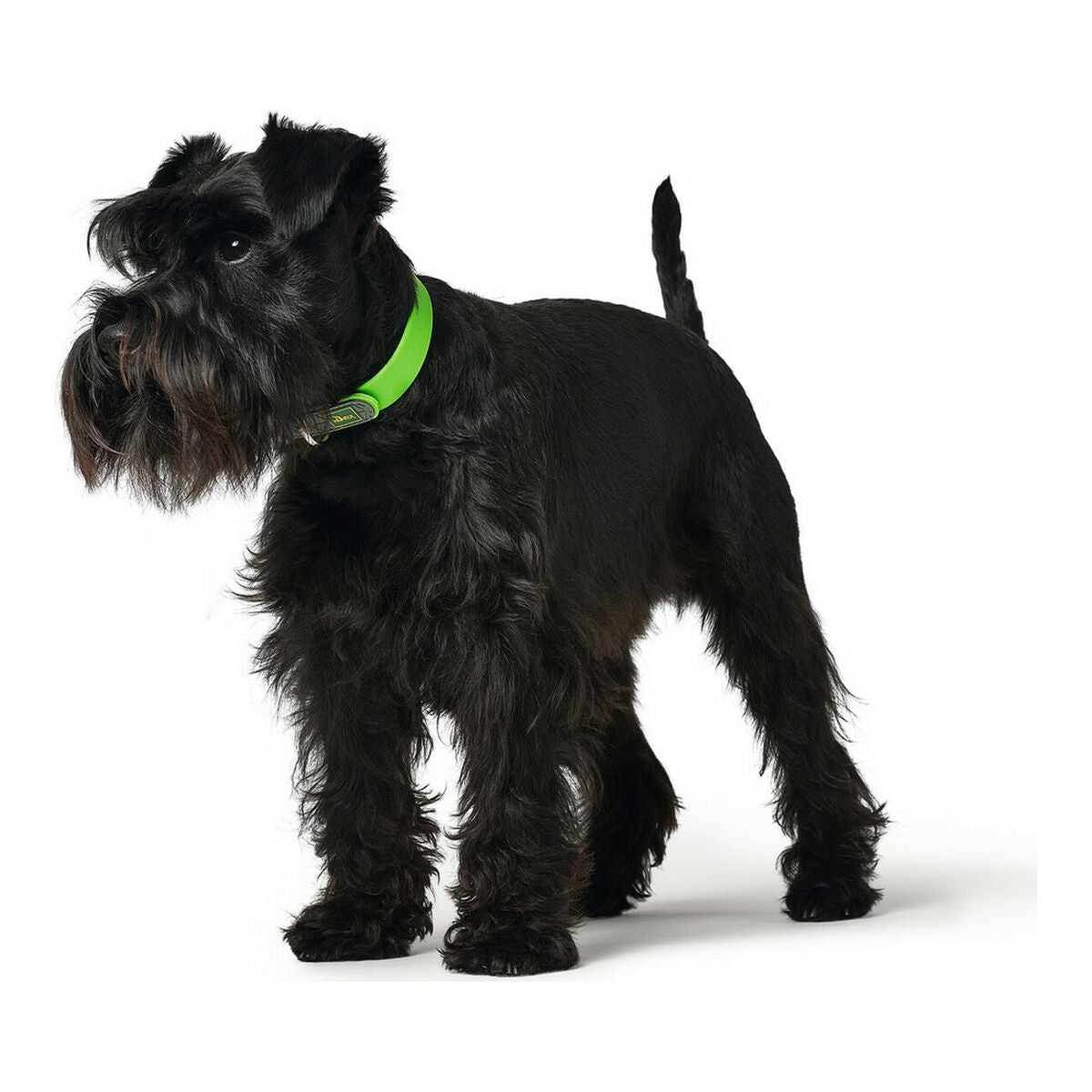 Collare per Cani Hunter Convenience Verde Taglia S/M (33 - 41 cm) - PELOSAMICI