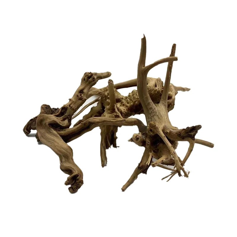 Decorazione Acquario Tronco Albero Legno Atmosfera Pianta Ornamento - PELOSAMICI