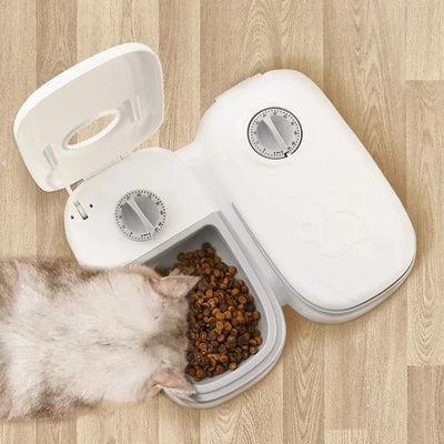 Dispenser Cibo Gatti Distributore Automatico Timer Accessori Animali Domestici - PELOSAMICI