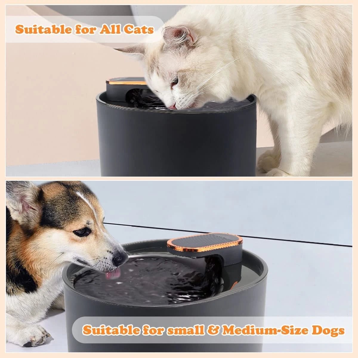 Distributore Automatico Acqua Cani Gatti 3 Litri Sensore Movimento Luce LED Accessori Animali Domestici - PELOSAMICI