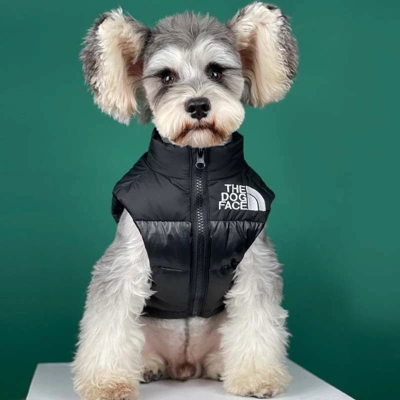 Gilet Cani Piccola Taglia Impermeabile Abbigliamento Accessori Animali Domestici - PELOSAMICI