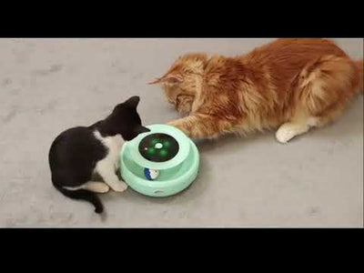 Giocattoli Gatti Automatico Interattivo Antistress Divertimento Accessori Animali Domestici