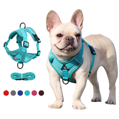 Arnés de correa para perros, arnés de Bulldog Francés de tamaño pequeño, correa, accesorios de ropa para mascotas 