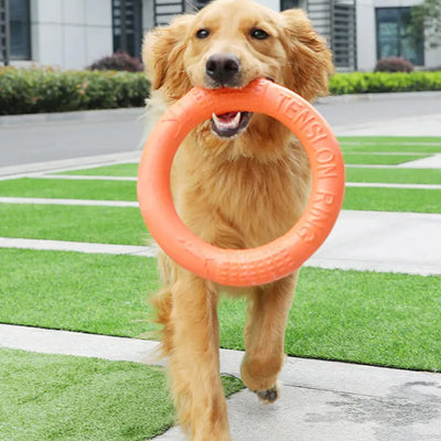 El juguete interactivo para perros reduce el estrés. Accesorios divertidos para juegos de mascotas. 