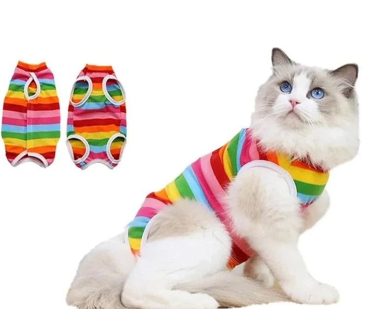 Tutina Gatto Abbigliamento Animali Domestici Colorata Leggera Multicolore