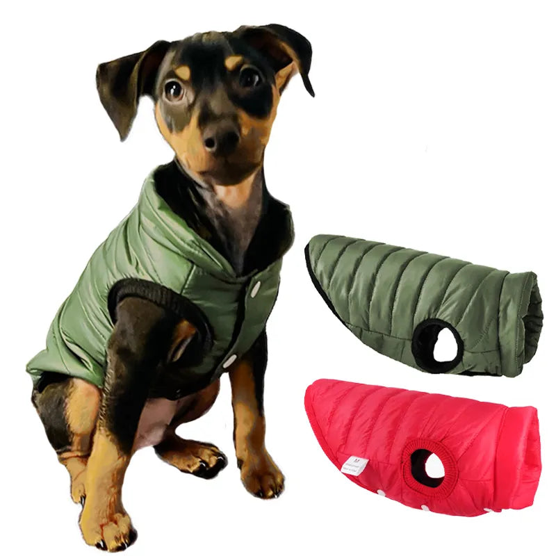 Chaqueta de plumón para perro y gato, abrigo impermeable de tamaño pequeño y mediano, cierre de desgarro para otoño e invierno 
