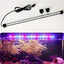 Luce LED Sommergibile Acquario Lampada Colorata Ventosa USB Illuminazione