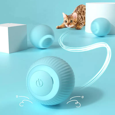 Juguete interactivo recargable para gatos, pelota divertida, accesorios para mascotas 