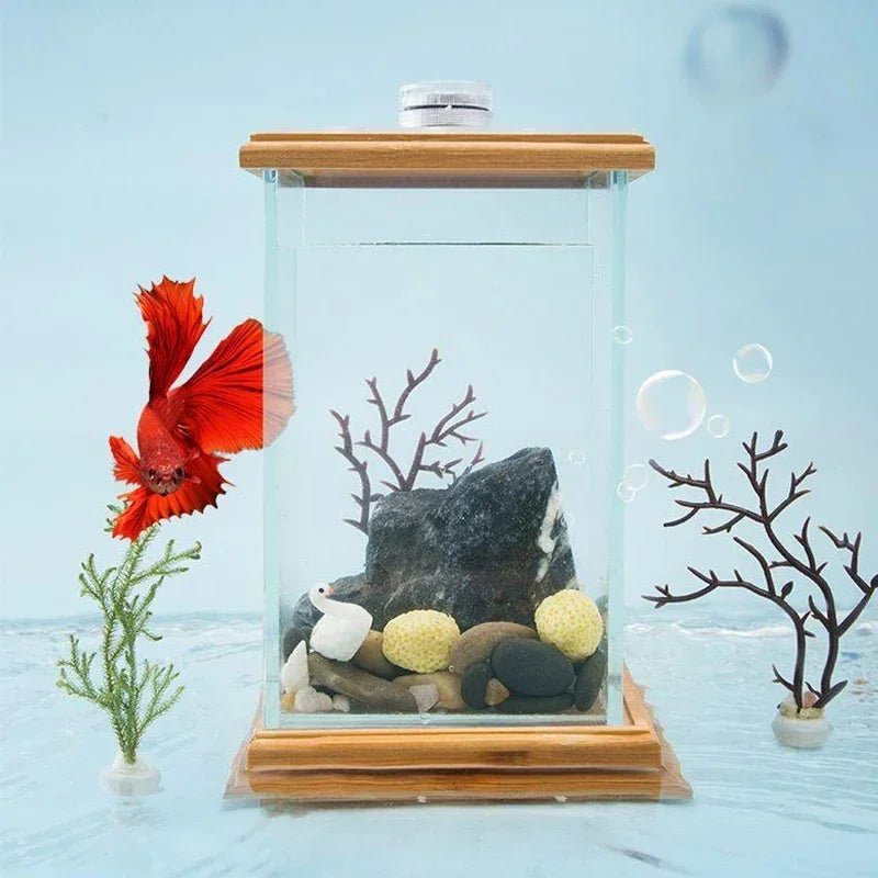 Acquario Mini Vetro Tondo Quadrato Pesci Decorazione Casa - PELOSAMICI