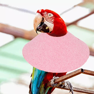 Collo Elisabettiano Uccelli Pappagallo Cerchio Collare Protettivo Previene Morsi Graffi Accessori Animali Domestici - PELOSAMICI