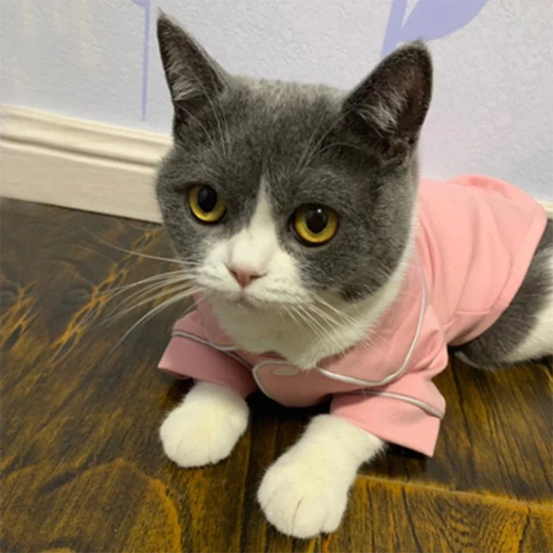 Felpa Gatto Vestiti Abbigliamento Accessori Animali Domestici Bottoni - PELOSAMICI