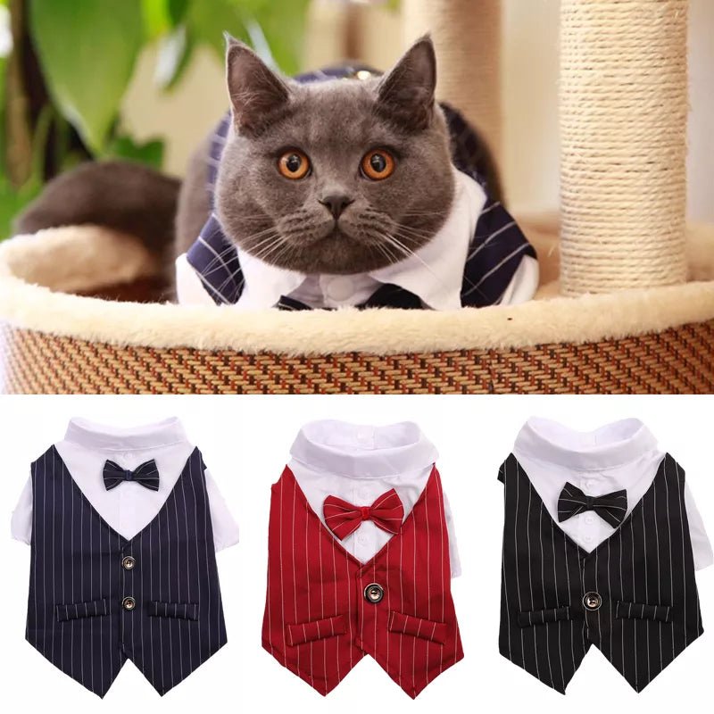 Giacca Camicia Gatto Abbigliamento Animali Festa Party Bottoni Colletto - PELOSAMICI